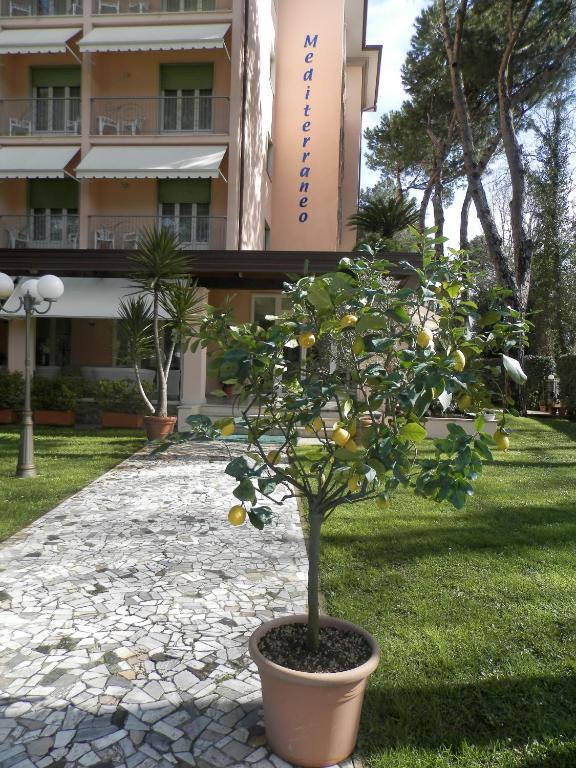 Mediterraneo Hotel 3*